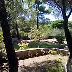 Pine Tree House * Troulos