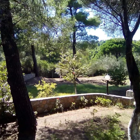 Pine Tree House * Troulos