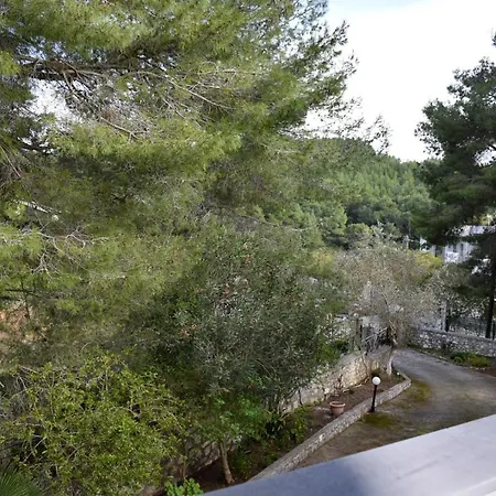 Pine Tree House *
