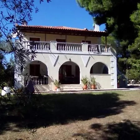 Apartment Pine Tree House